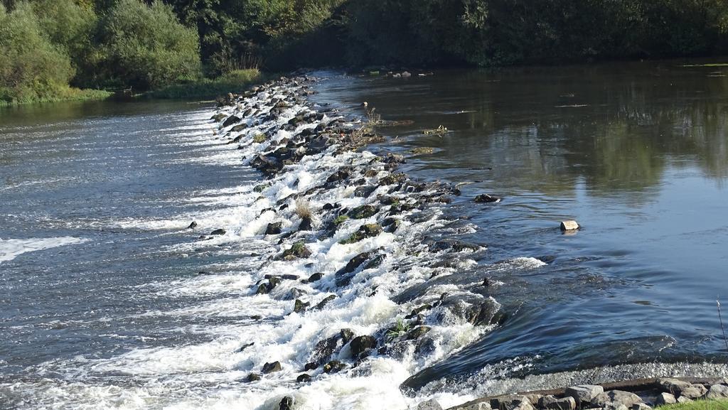 Pension Zur Sonne Wittenweier Schwanau Exteriör bild